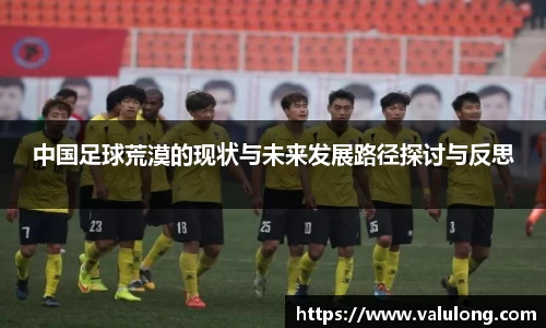 中国足球荒漠的现状与未来发展路径探讨与反思